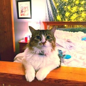 Meet your Posher, Khloe